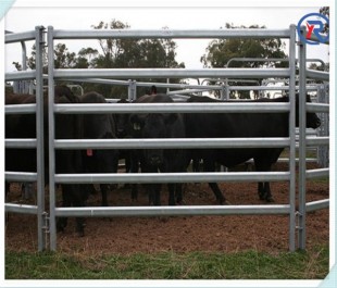 Panneau de clôture pour bétail